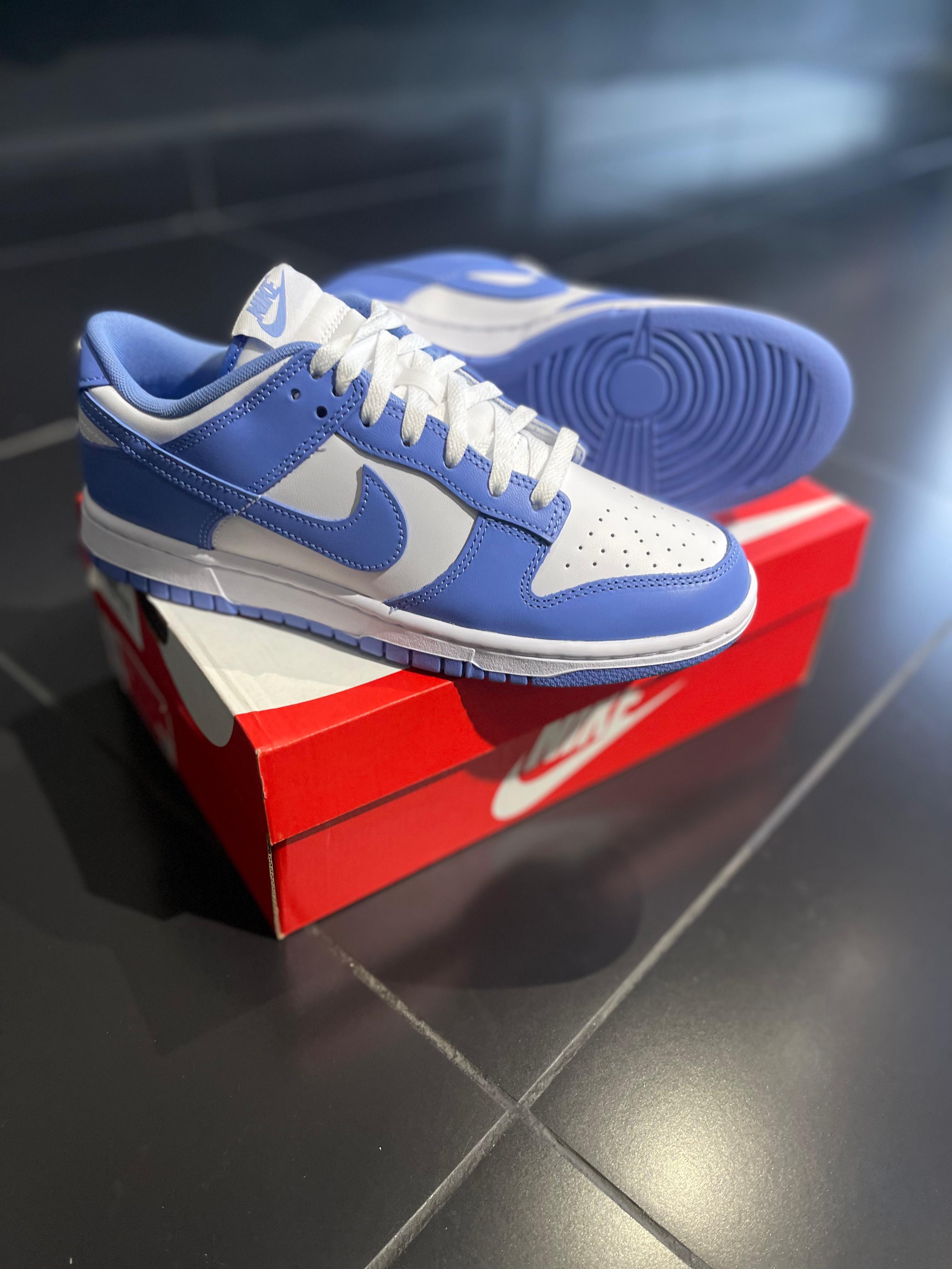 Nike Sb Dunk Low Polar Blue